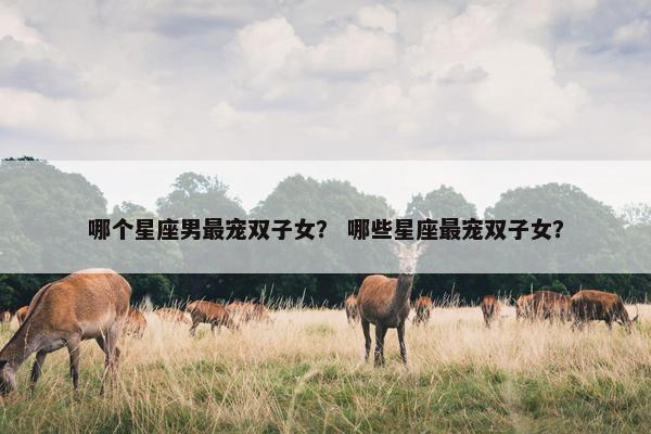哪个星座男最宠双子女？ 哪些星座最宠双子女？