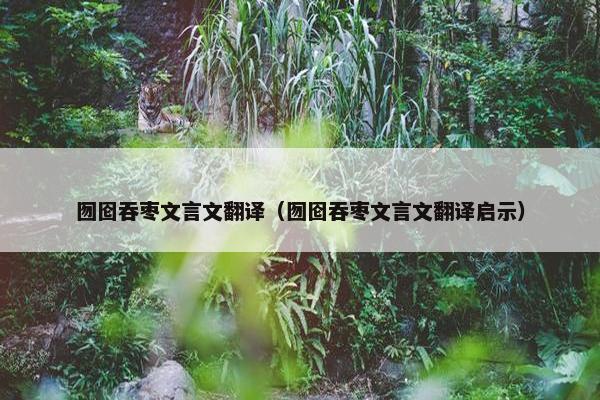 囫囵吞枣文言文翻译（囫囵吞枣文言文翻译启示）
