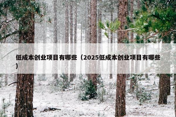 低成本创业项目有哪些（2025低成本创业项目有哪些）