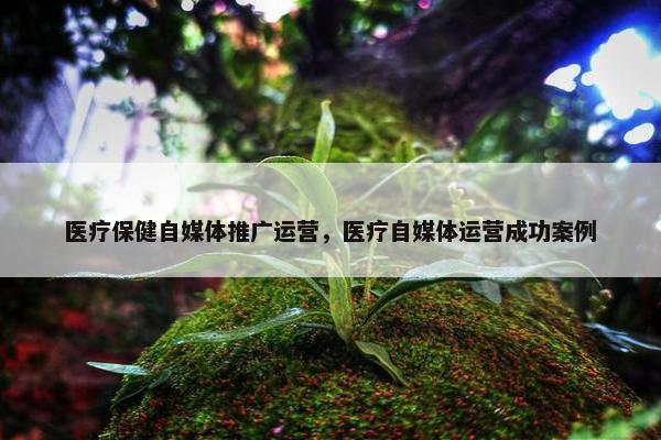 医疗保健自媒体推广运营，医疗自媒体运营成功案例