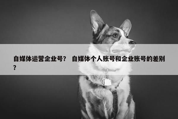 自媒体运营企业号？ 自媒体个人账号和企业账号的差别？