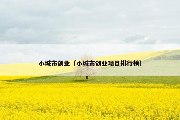 小城市创业（小城市创业项目排行榜）