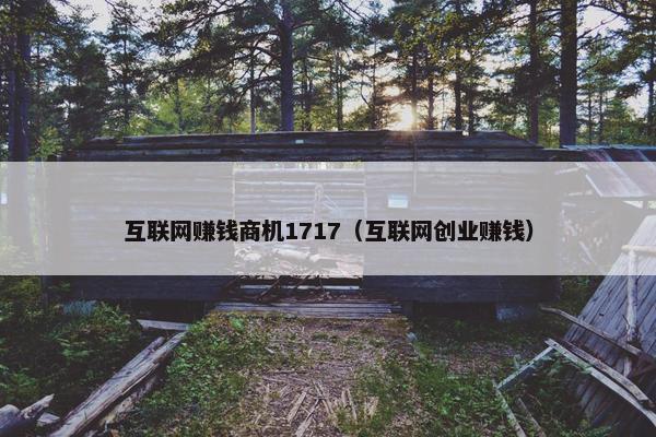 互联网赚钱商机1717（互联网创业赚钱）
