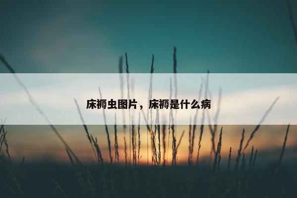 床褥虫图片，床褥是什么病
