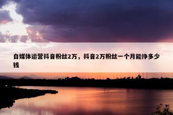 自媒体运营抖音粉丝2万，抖音2万粉丝一个月能挣多少钱