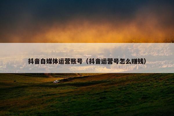 抖音自媒体运营账号（抖音运营号怎么赚钱）