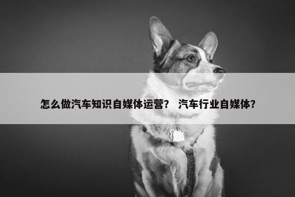 怎么做汽车知识自媒体运营？ 汽车行业自媒体？