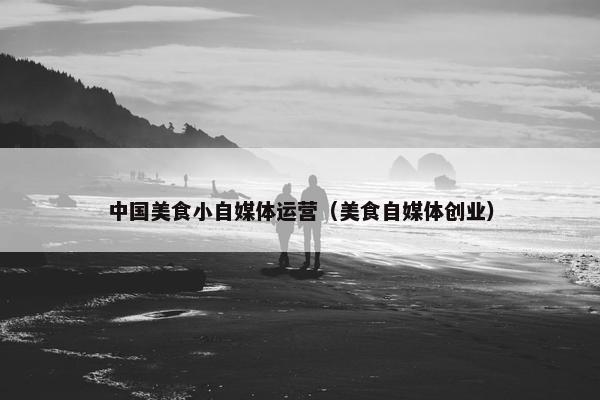 中国美食小自媒体运营（美食自媒体创业）