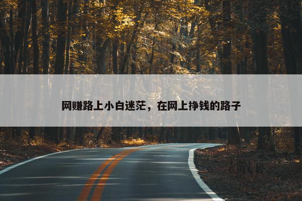 网赚路上小白迷茫，在网上挣钱的路子