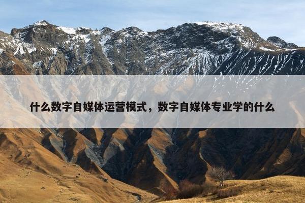 什么数字自媒体运营模式，数字自媒体专业学的什么