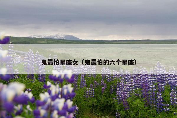 鬼最怕星座女（鬼最怕的六个星座）