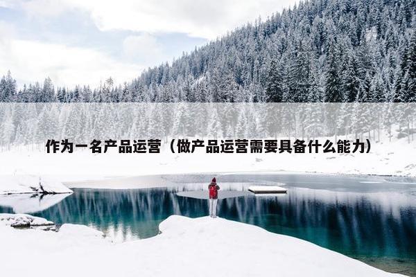 作为一名产品运营（做产品运营需要具备什么能力）