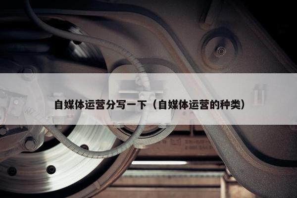 自媒体运营分写一下（自媒体运营的种类）