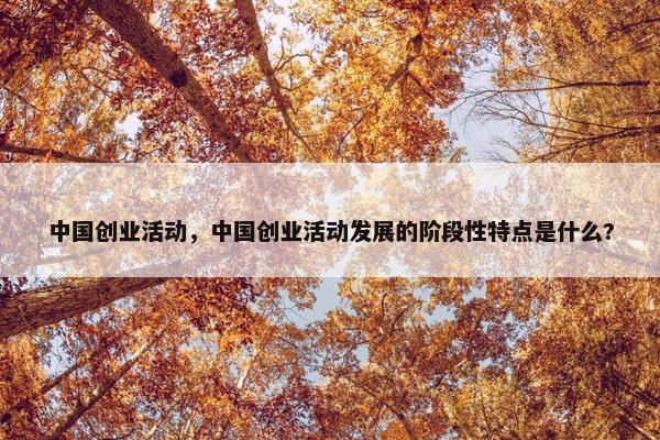 中国创业活动，中国创业活动发展的阶段性特点是什么?
