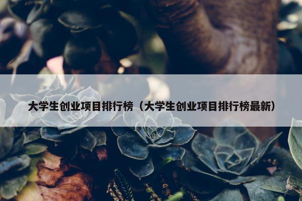 大学生创业项目排行榜（大学生创业项目排行榜最新）