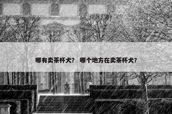 哪有卖茶杯犬？ 哪个地方在卖茶杯犬？