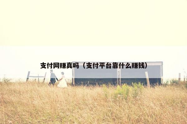 支付网赚真吗（支付平台靠什么赚钱）