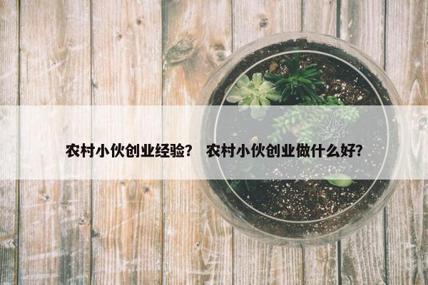 农村小伙创业经验？ 农村小伙创业做什么好？