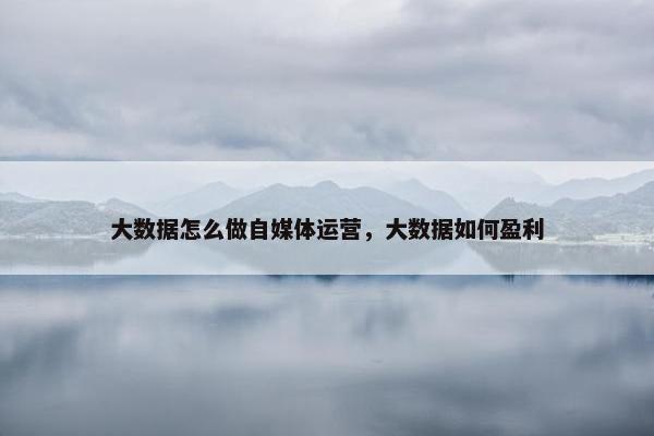 大数据怎么做自媒体运营，大数据如何盈利