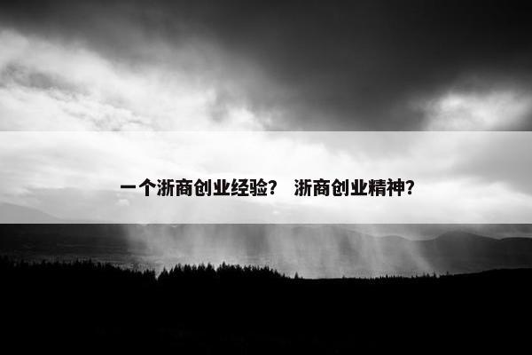 一个浙商创业经验？ 浙商创业精神？