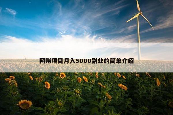 网赚项目月入5000副业的简单介绍