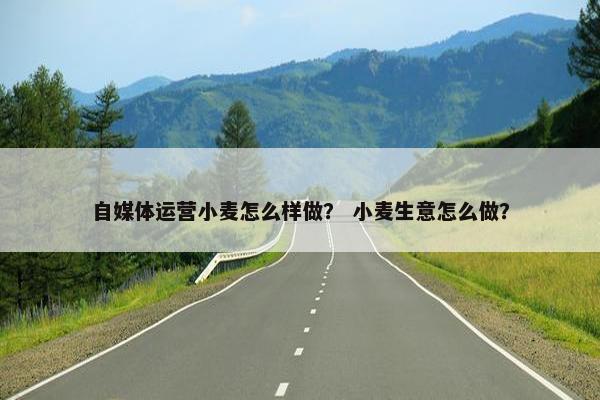 自媒体运营小麦怎么样做？ 小麦生意怎么做？