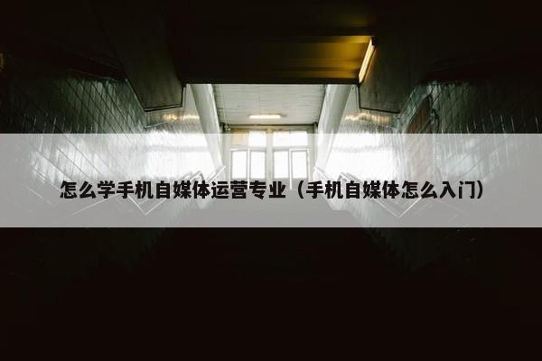 怎么学手机自媒体运营专业（手机自媒体怎么入门）