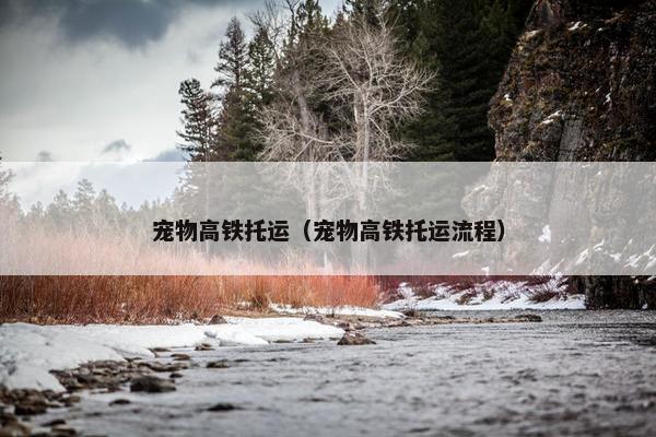宠物高铁托运（宠物高铁托运流程）