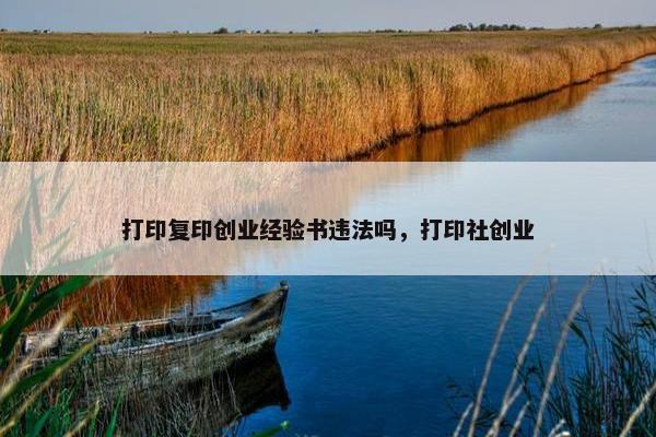打印复印创业经验书违法吗，打印社创业