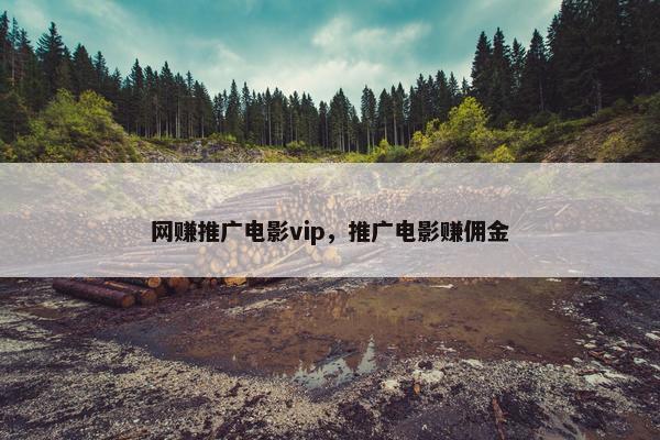 网赚推广电影vip，推广电影赚佣金