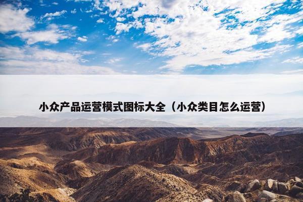 小众产品运营模式图标大全（小众类目怎么运营）