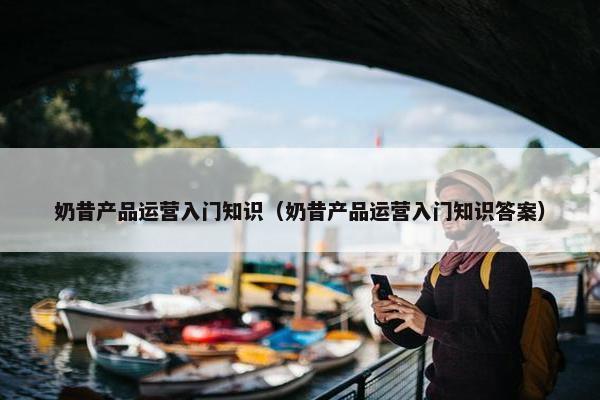 奶昔产品运营入门知识（奶昔产品运营入门知识答案）