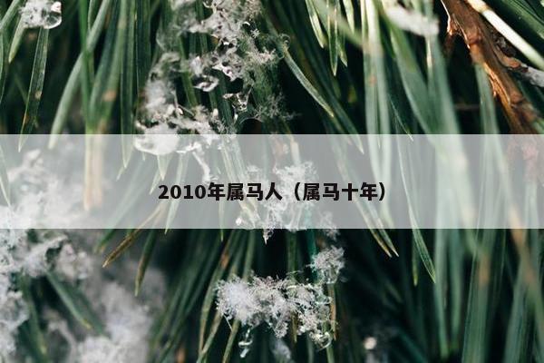 2010年属马人（属马十年）