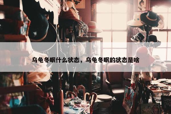 乌龟冬眠什么状态，乌龟冬眠的状态是啥
