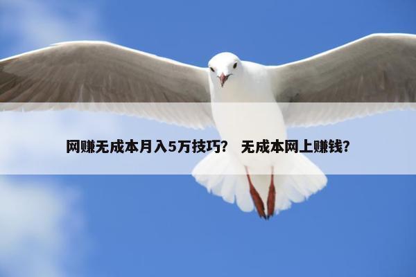 网赚无成本月入5万技巧？ 无成本网上赚钱？