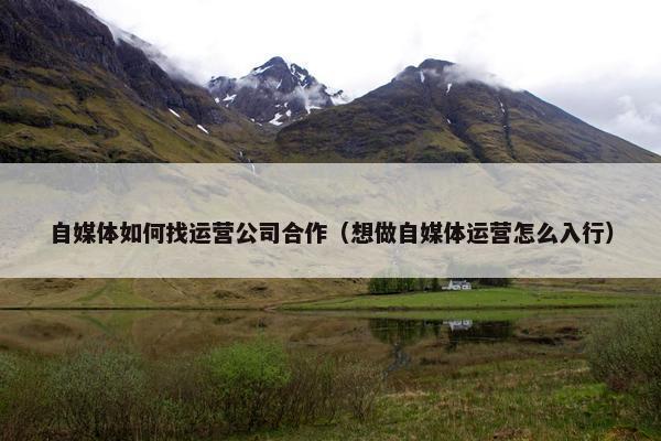 自媒体如何找运营公司合作（想做自媒体运营怎么入行）