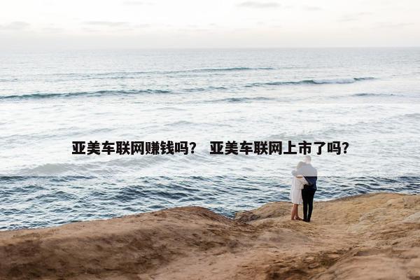 亚美车联网赚钱吗？ 亚美车联网上市了吗？