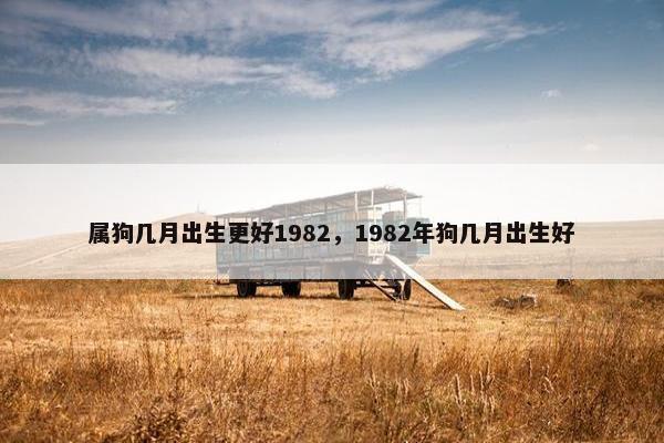 属狗几月出生更好1982，1982年狗几月出生好