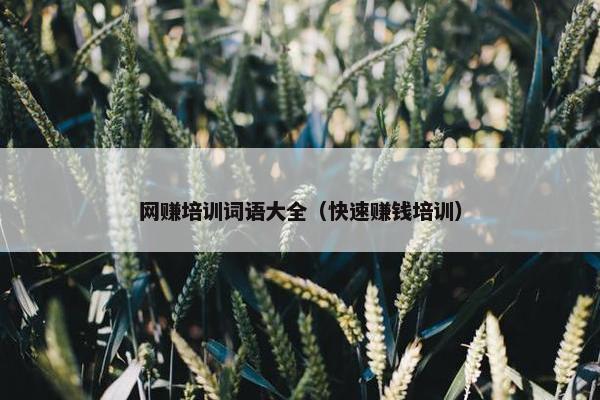 网赚培训词语大全（快速赚钱培训）