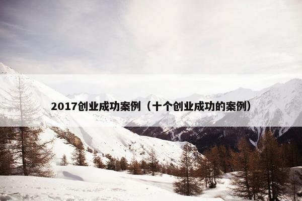2017创业成功案例（十个创业成功的案例）