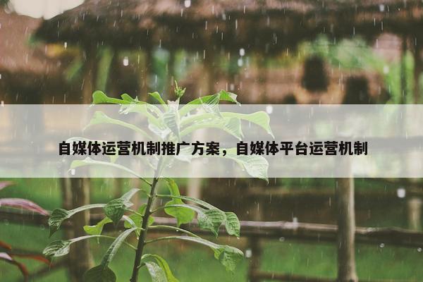 自媒体运营机制推广方案，自媒体平台运营机制