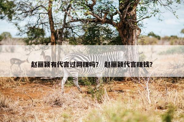 赵丽颖有代言过网赚吗？ 赵丽颖代言赚钱？