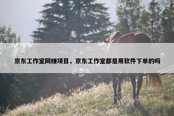 京东工作室网赚项目，京东工作室都是用软件下单的吗