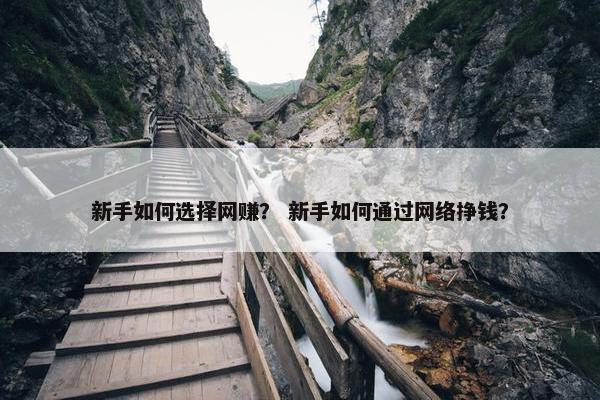 新手如何选择网赚？ 新手如何通过网络挣钱？