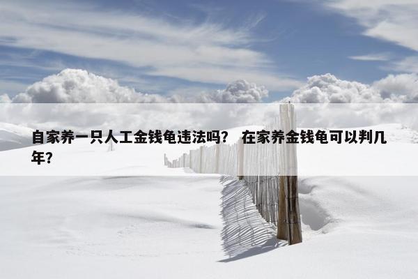 自家养一只人工金钱龟违法吗？ 在家养金钱龟可以判几年？