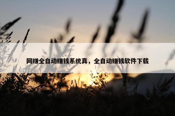 网赚全自动赚钱系统真，全自动赚钱软件下载