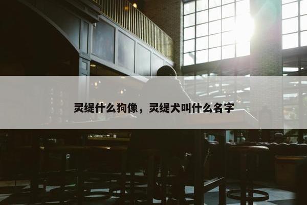灵缇什么狗像，灵缇犬叫什么名字