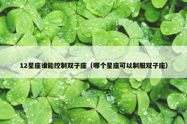 12星座谁能控制双子座（哪个星座可以制服双子座）
