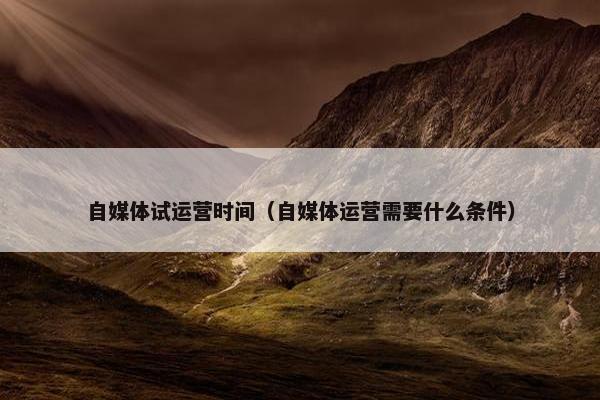 自媒体试运营时间（自媒体运营需要什么条件）