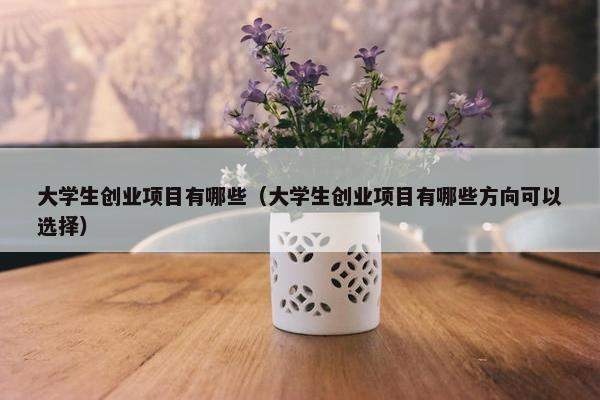 大学生创业项目有哪些（大学生创业项目有哪些方向可以选择）
